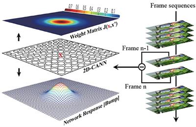 Fast Object Tracking on a Many-Core Neural Network Chip